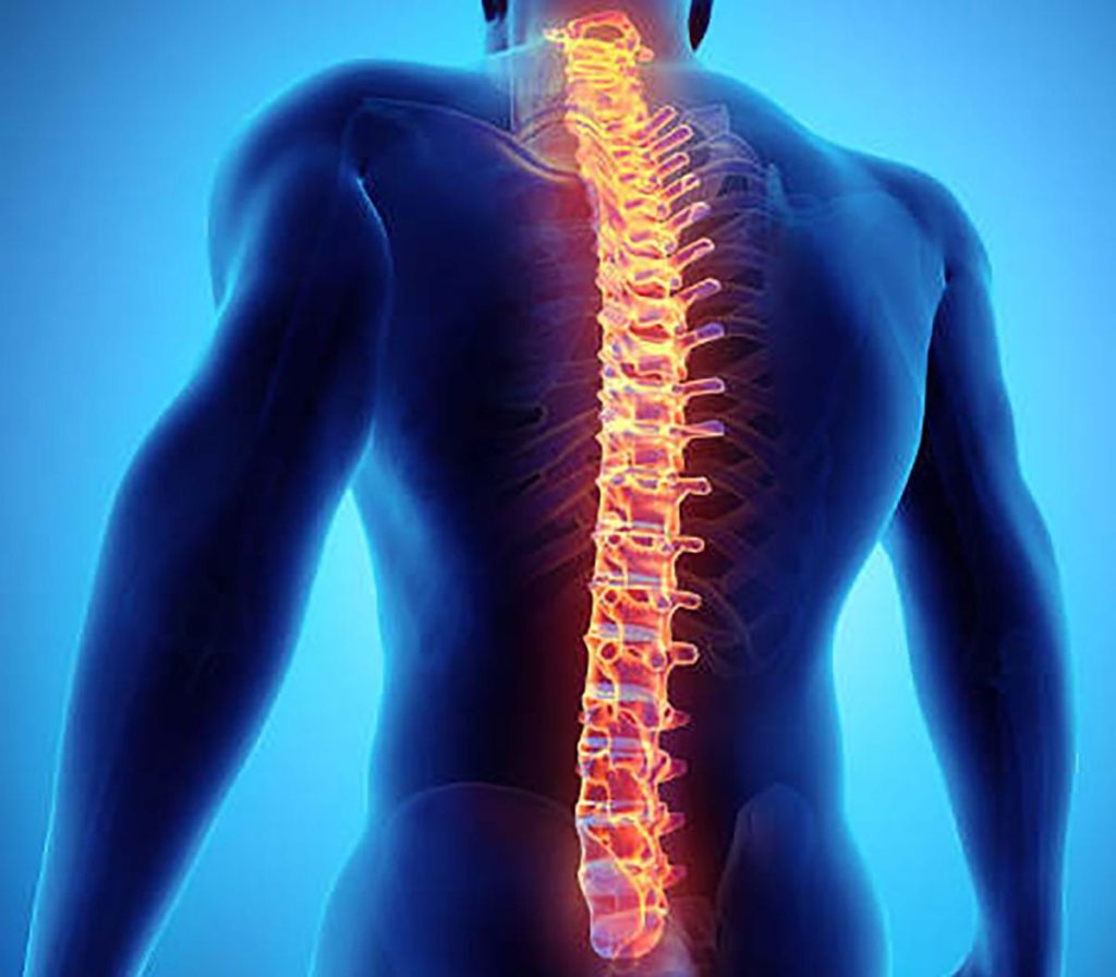 Thoracic Radiculopathy – Spine and Knee Clinic – Official website of Dr ...